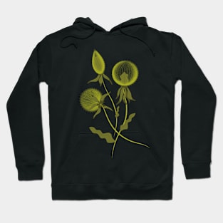 Green air  dandelions Hoodie